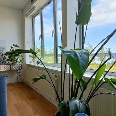 Apartment Spacious 12 Min To Center By Tram *